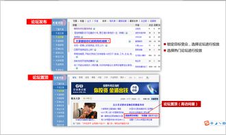 從渠道到情感 全鏈路寵物食品品牌營銷推廣策略